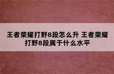 王者荣耀打野8段怎么升 王者荣耀打野8段属于什么水平